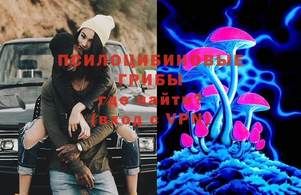 mix Надым