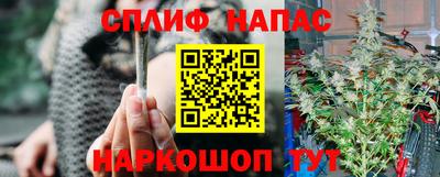 прущий лед Будённовск