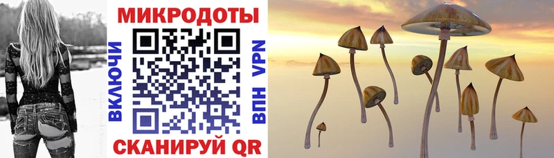 купить наркотик  Таганрог  Галлюциногенные грибы Psilocybine cubensis 
