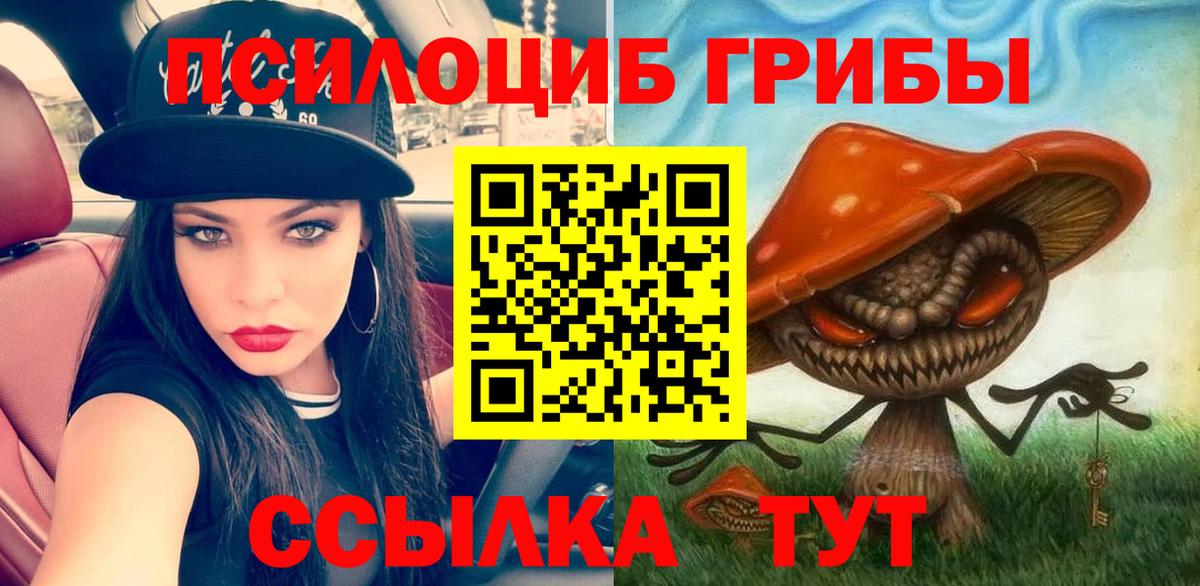 Псилоцибиновые грибы Psilocybine cubensis Таганрог