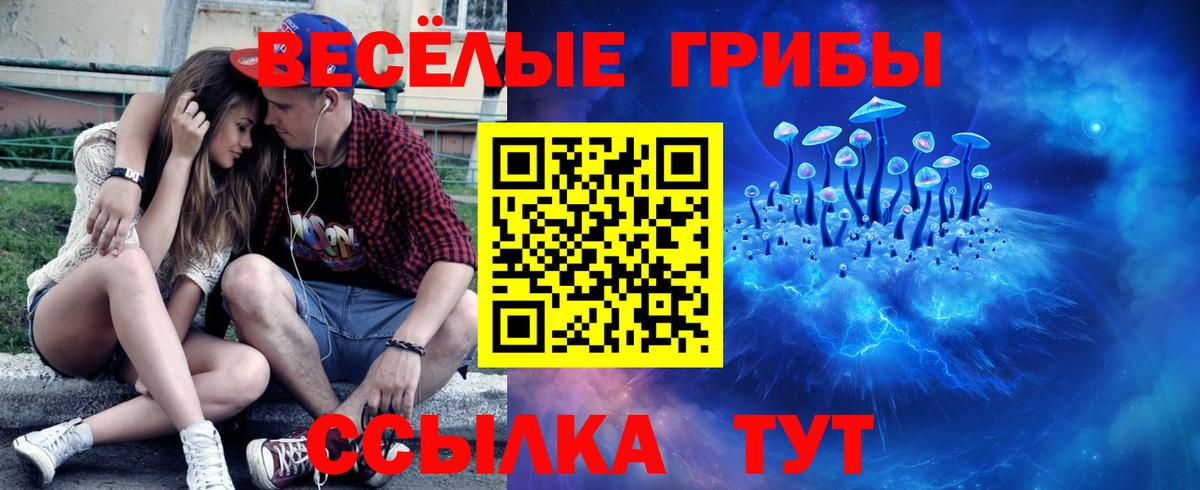 Таганрог  Галлюциногенные грибы MAGIC MUSHROOMS  Вход с VPN 